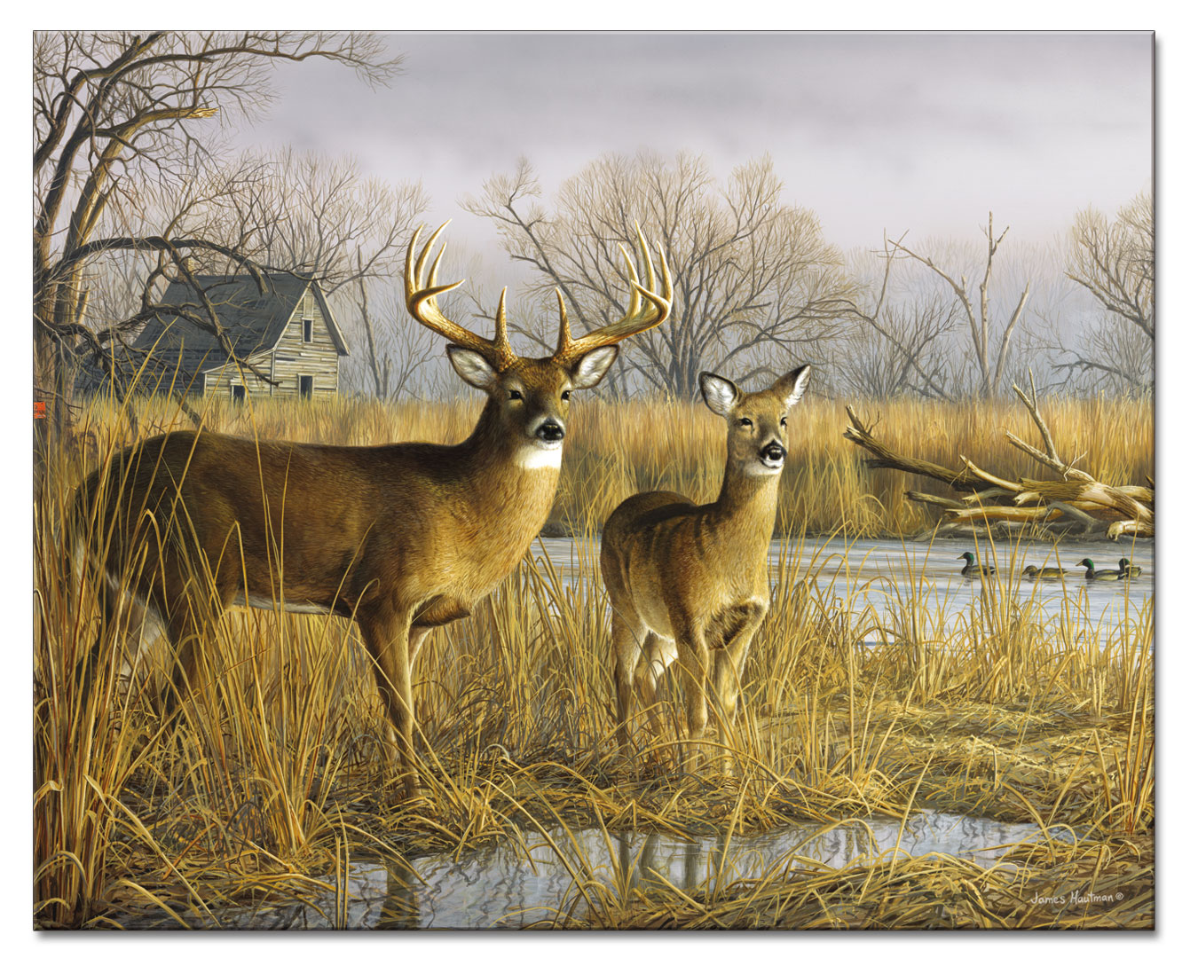 Morning Light Deer Cabin Lodge Glass Cuttingboard Trivet Morning Light Deer Cabin Lodge Glass Cuttingboard Trivet