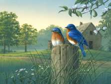 Glass Cuttingboard Trivet Blubirds Country Wildlife Glass Cuttingboard Trivet Blubirds Country Wildlife